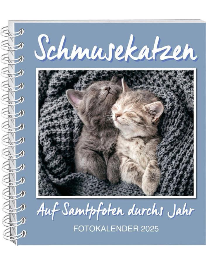 Schmusekatzen Fotokalender 2025