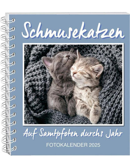 Schmusekatzen Fotokalender 2025