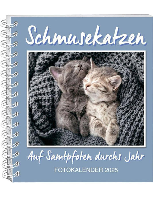 Schmusekatzen Fotokalender 2025