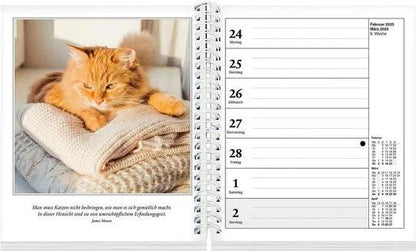 Schmusekatzen Fotokalender 2025