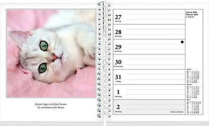 Schmusekatzen Fotokalender 2025