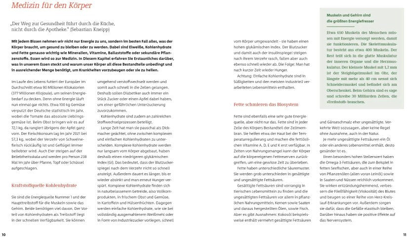 Meine gesündesten 15-Minuten-Rezepte