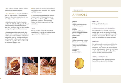 Natürlich ohne Zucker