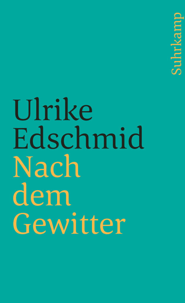 Nach dem Gewitter (Ulrike Edschmid)
