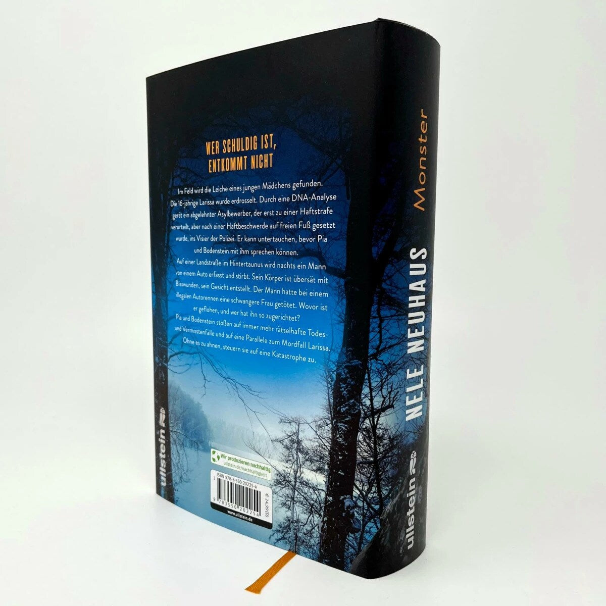 Monster / Oliver von Bodenstein Bd.11