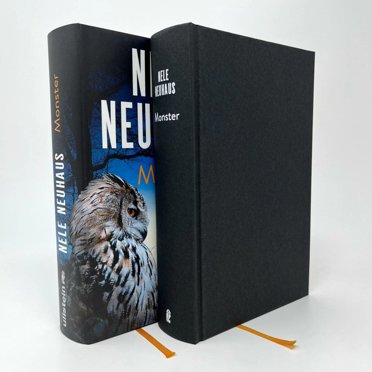 Monster / Oliver von Bodenstein Bd.11