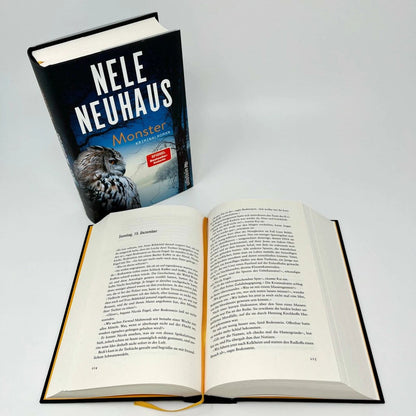 Monster / Oliver von Bodenstein Bd.11