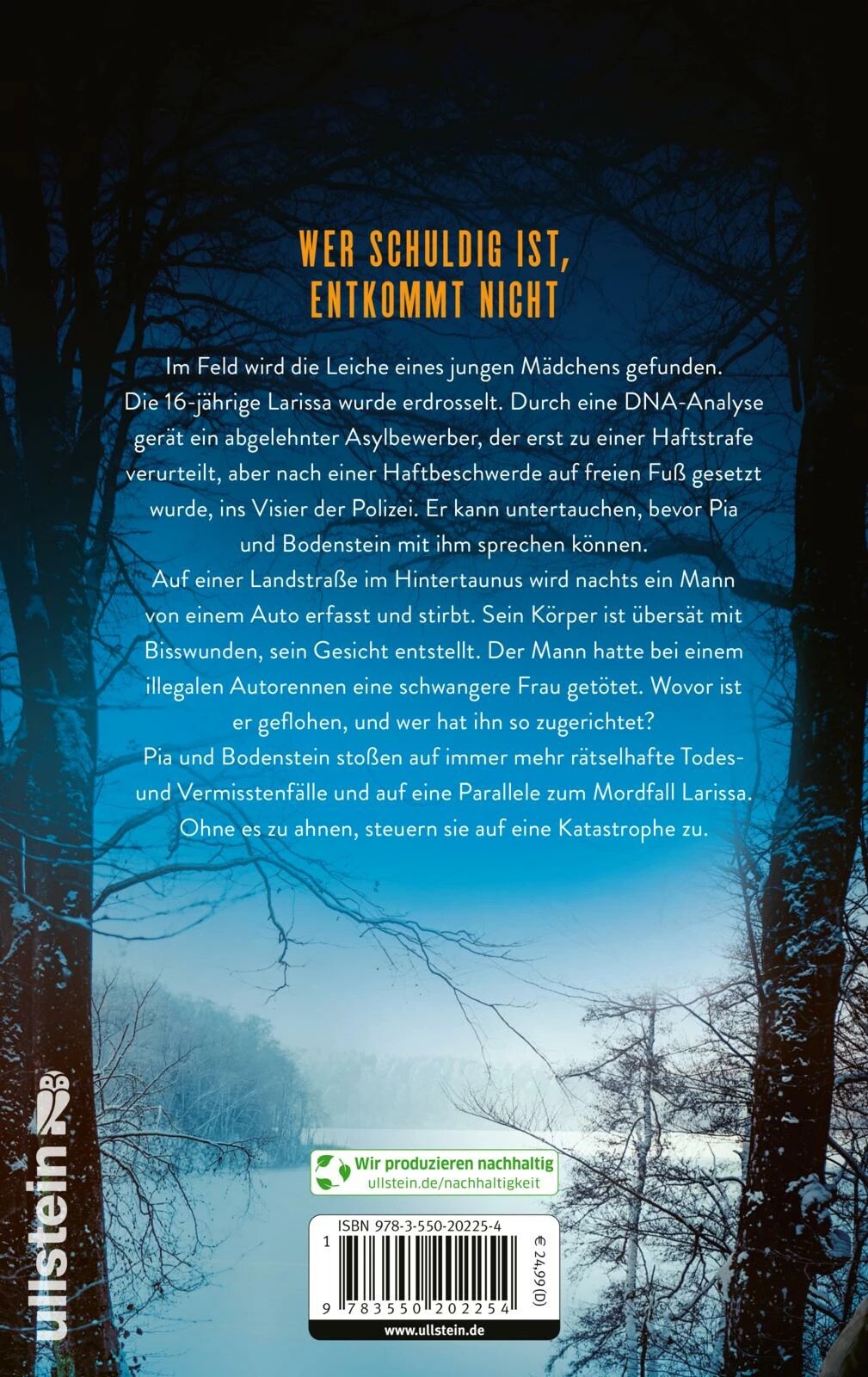 Monster / Oliver von Bodenstein Bd.11