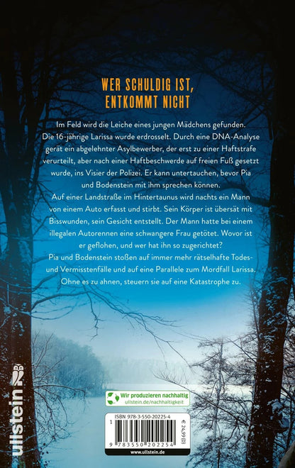 Monster / Oliver von Bodenstein Bd.11