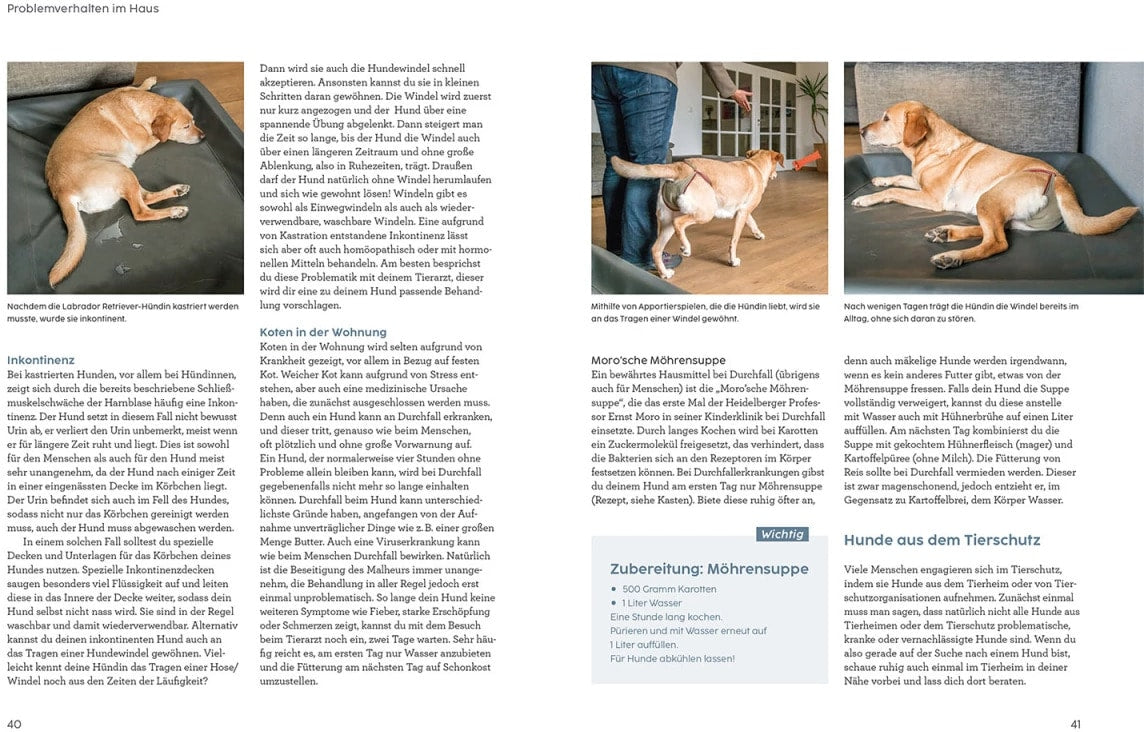 Problem gelöst! mit Martin Rütter