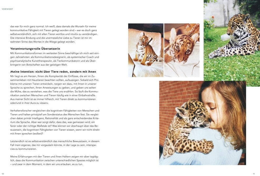 Was will mir meine Katze sagen?