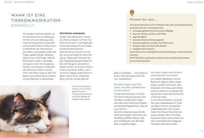 Was will mir meine Katze sagen?