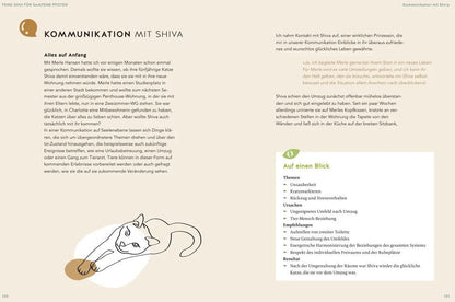 Was will mir meine Katze sagen?