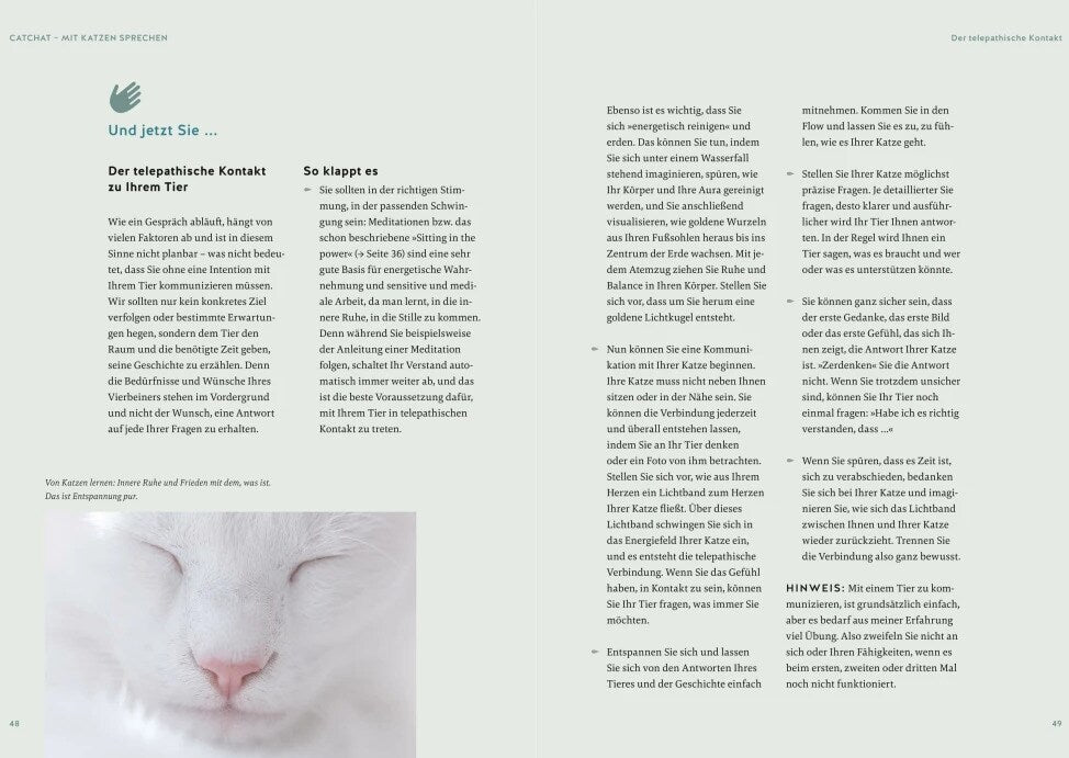 Was will mir meine Katze sagen?