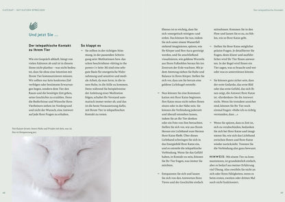 Was will mir meine Katze sagen?