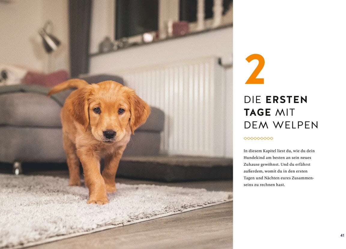 Der Welpen-Alltags-Helfer