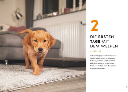 Der Welpen-Alltags-Helfer