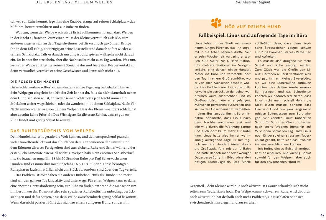 Der Welpen-Alltags-Helfer