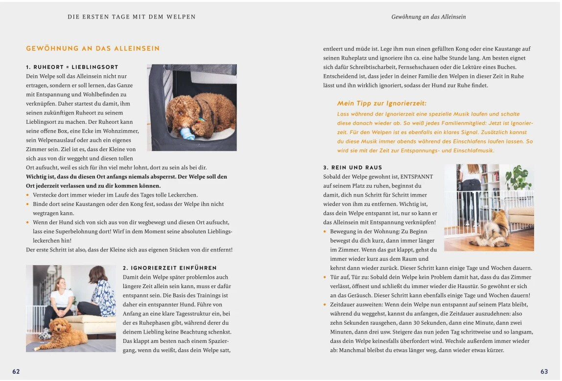 Der Welpen-Alltags-Helfer