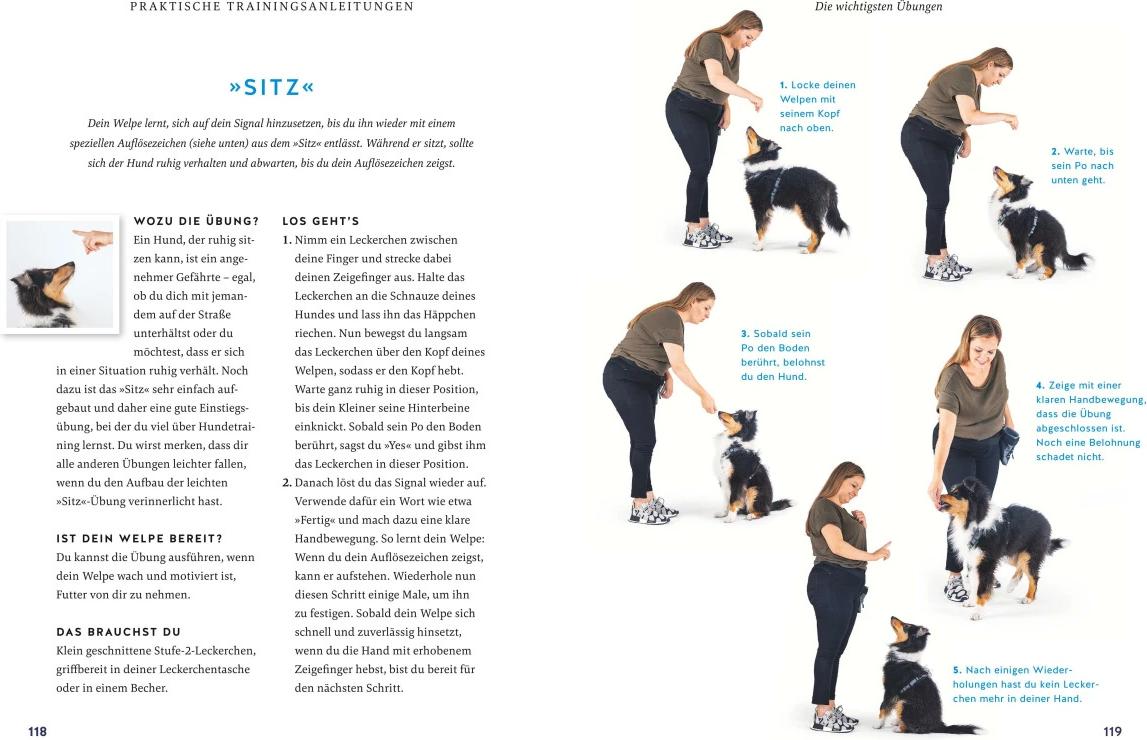 Der Welpen-Alltags-Helfer