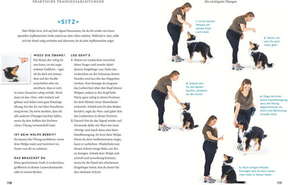 Der Welpen-Alltags-Helfer