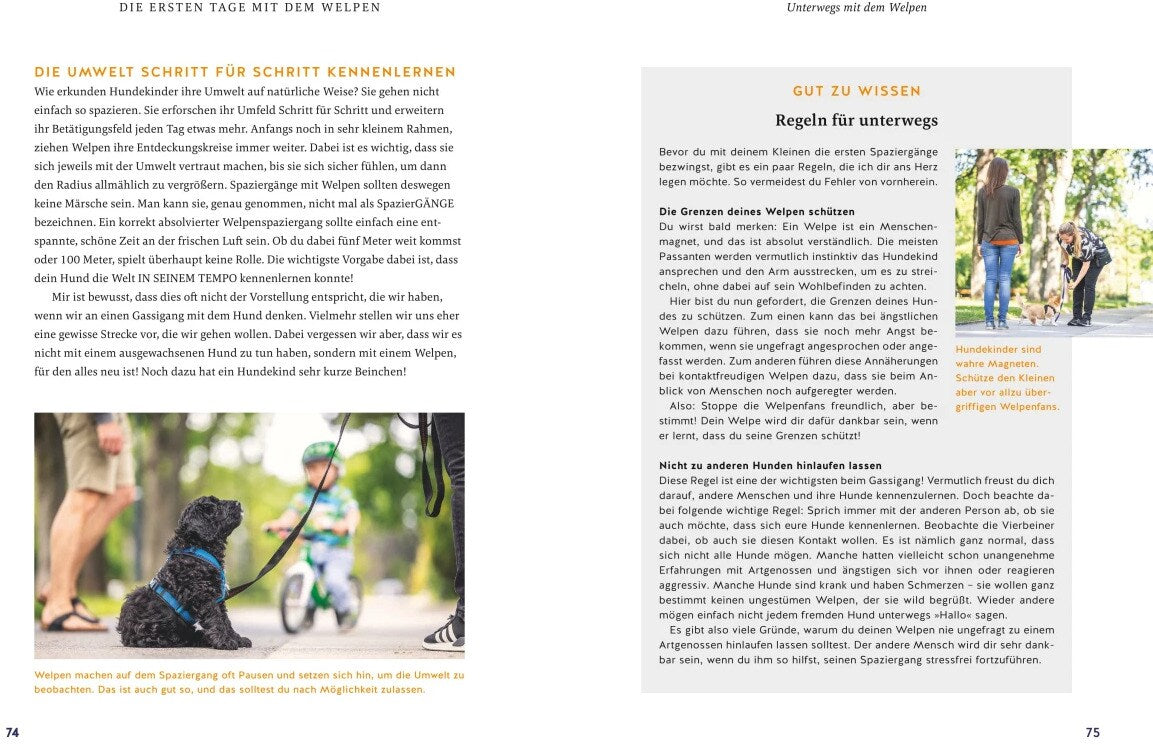 Der Welpen-Alltags-Helfer