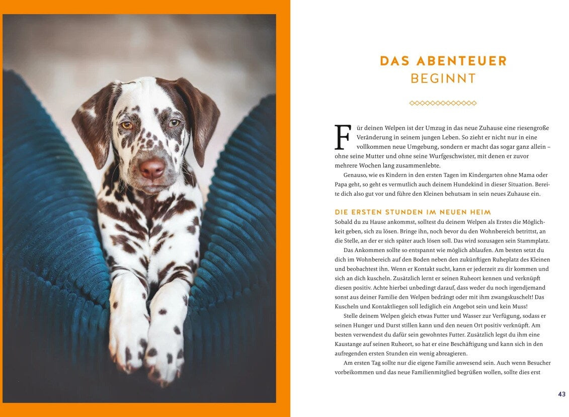 Der Welpen-Alltags-Helfer