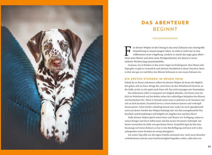 Der Welpen-Alltags-Helfer