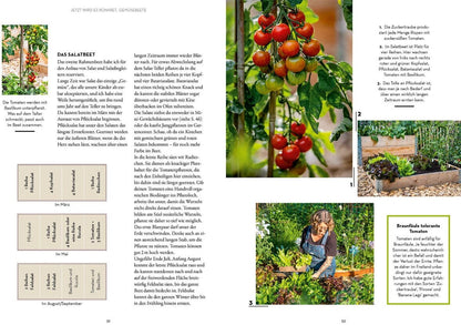 Kleiner Garten - so viel drin