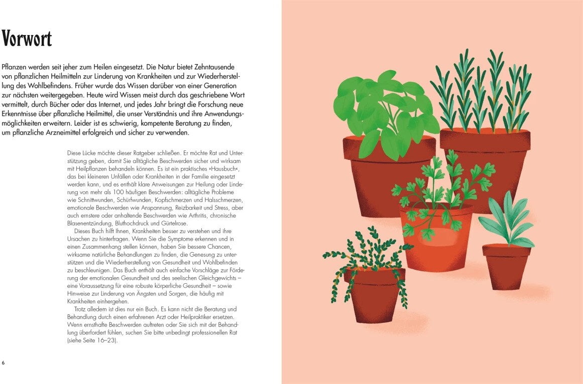 Die pflanzliche Hausapotheke