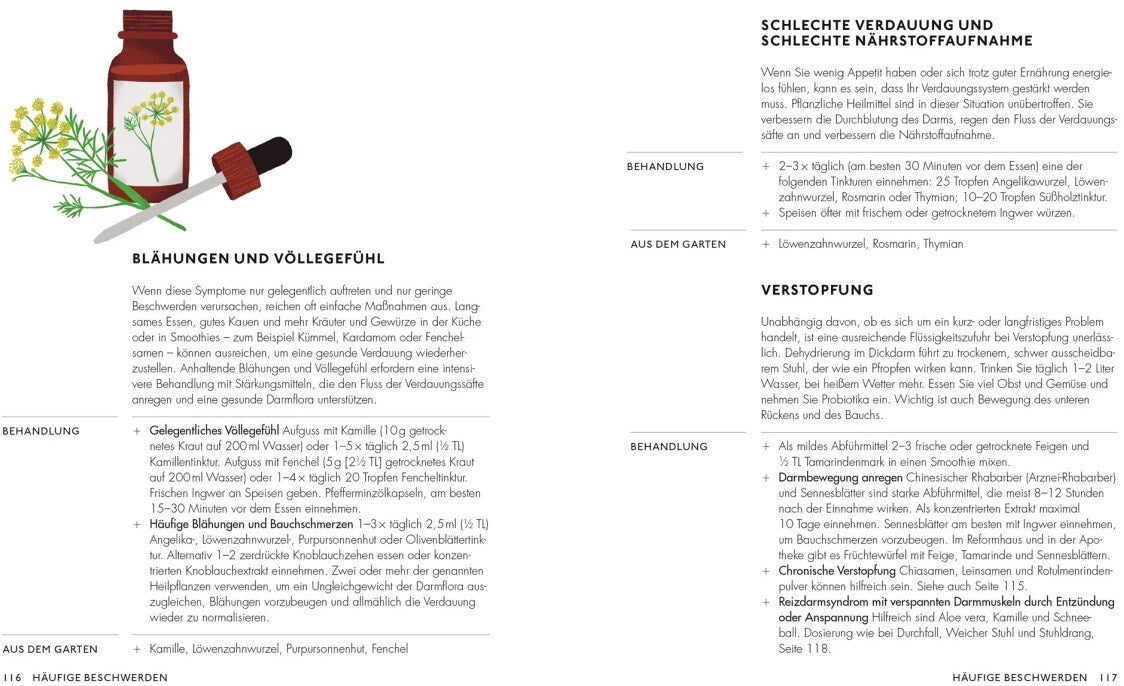 Die pflanzliche Hausapotheke