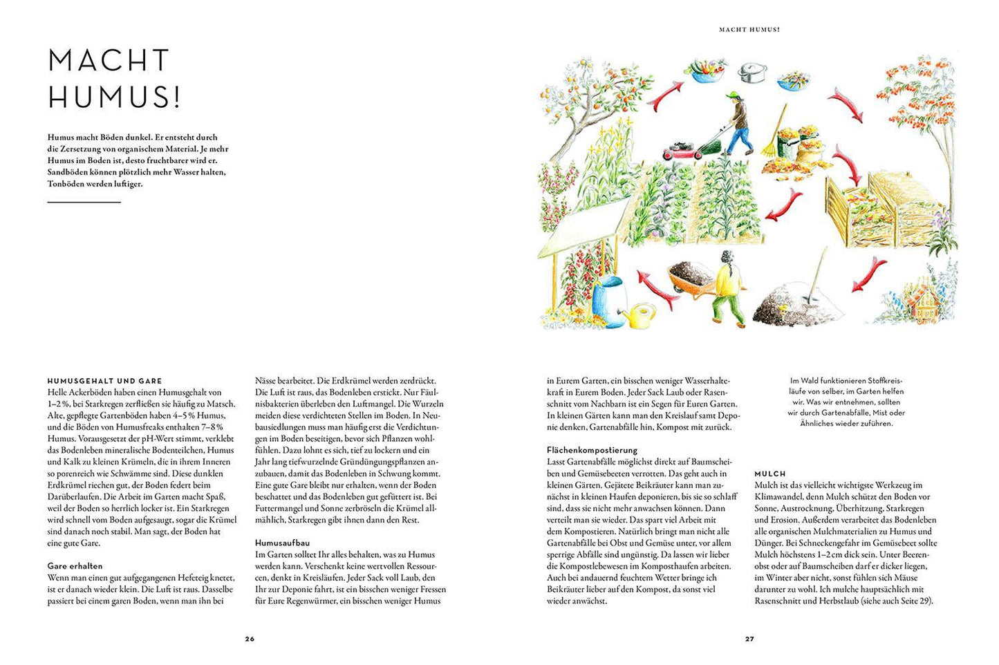 Trockenhelden im Gemüsebeet