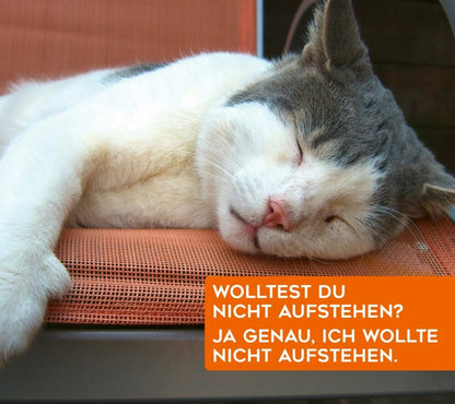 Uli Stein - Für echte Katzenfreunde