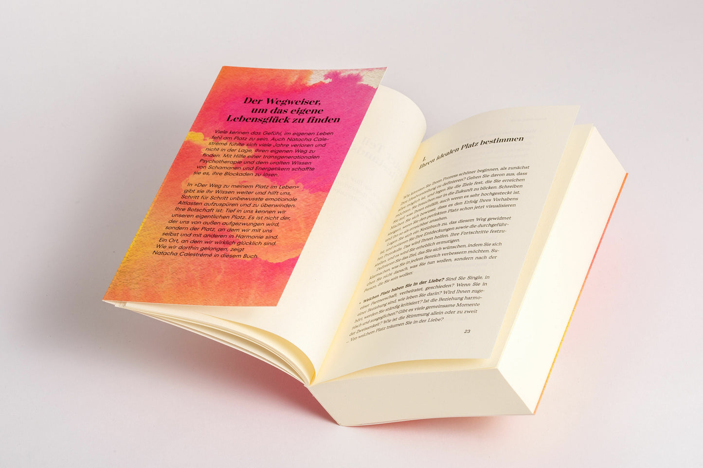 Der Weg zu meinem Platz im Leben