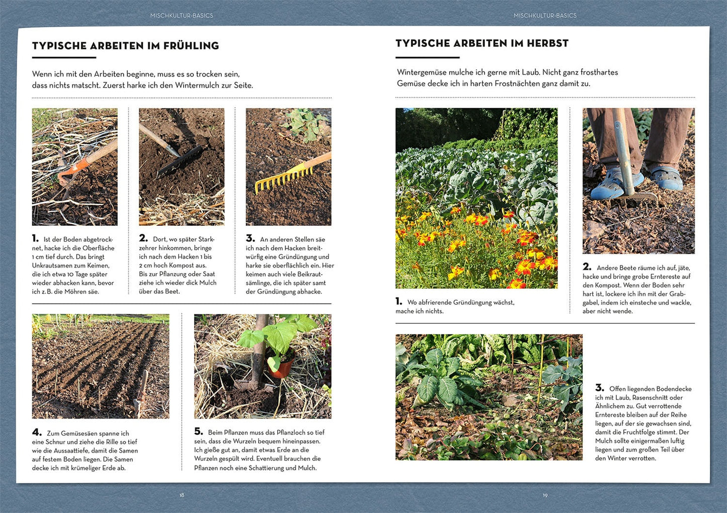 Wer kann mit wem im Beet?