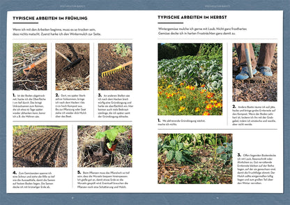 Wer kann mit wem im Beet?