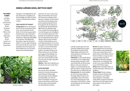 Wer kann mit wem im Beet?