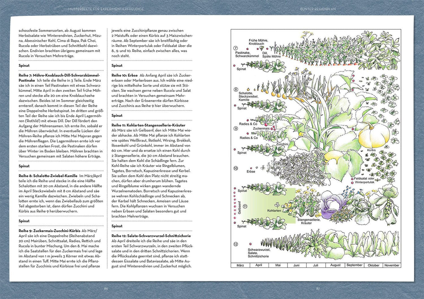 Wer kann mit wem im Beet?