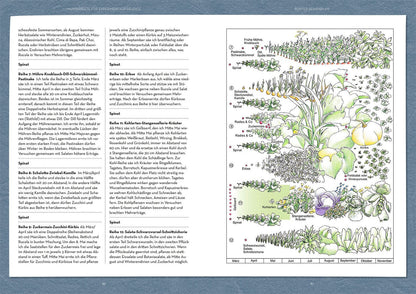 Wer kann mit wem im Beet?