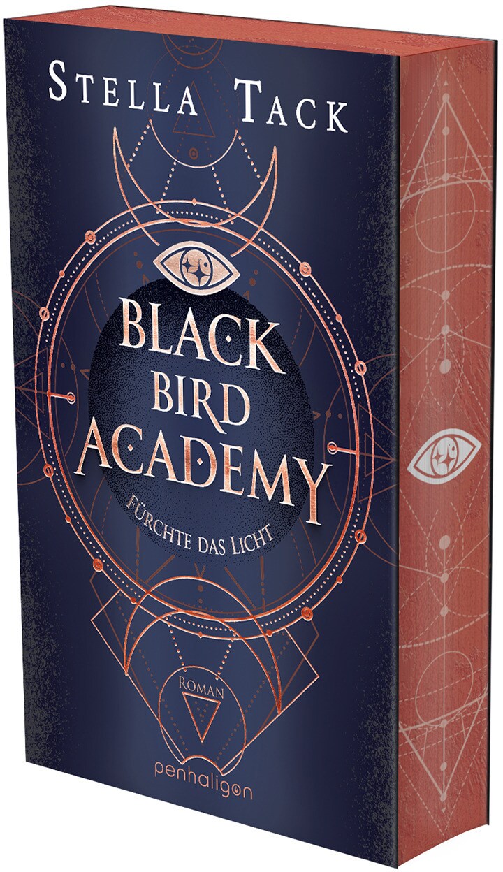 Fürchte das Licht / Black Bird Academy Bd.2