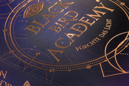Fürchte das Licht / Black Bird Academy Bd.2