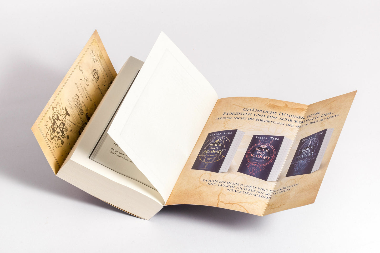 Fürchte das Licht / Black Bird Academy Bd.2