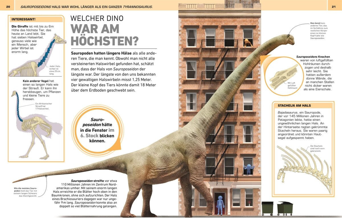 Total verrückt! Dinosaurier