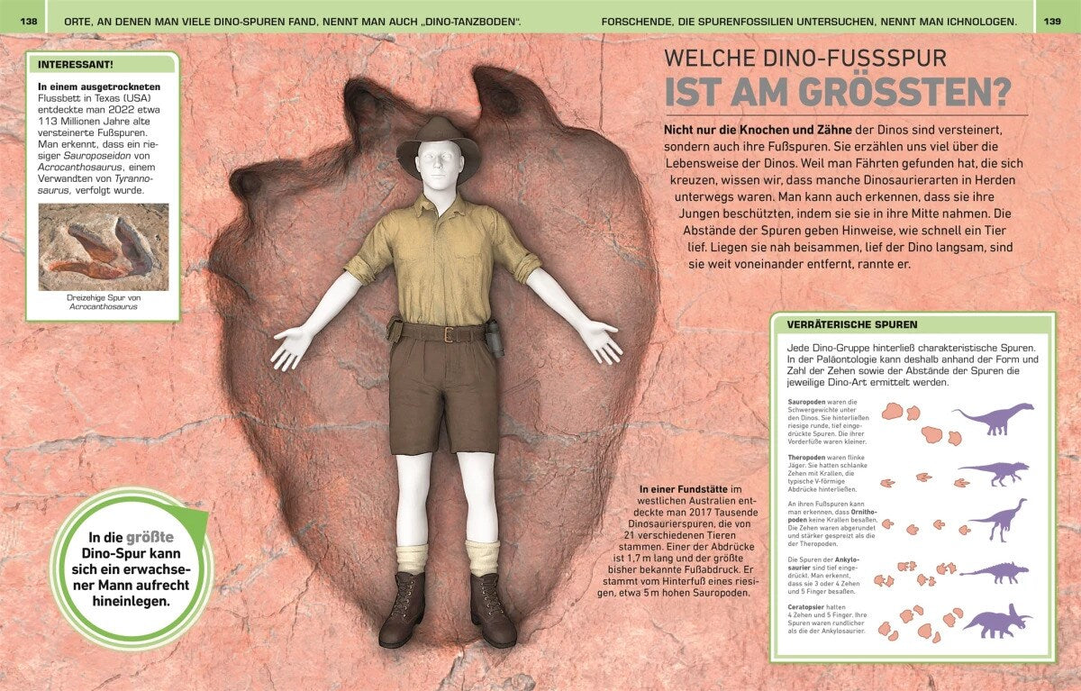 Total verrückt! Dinosaurier