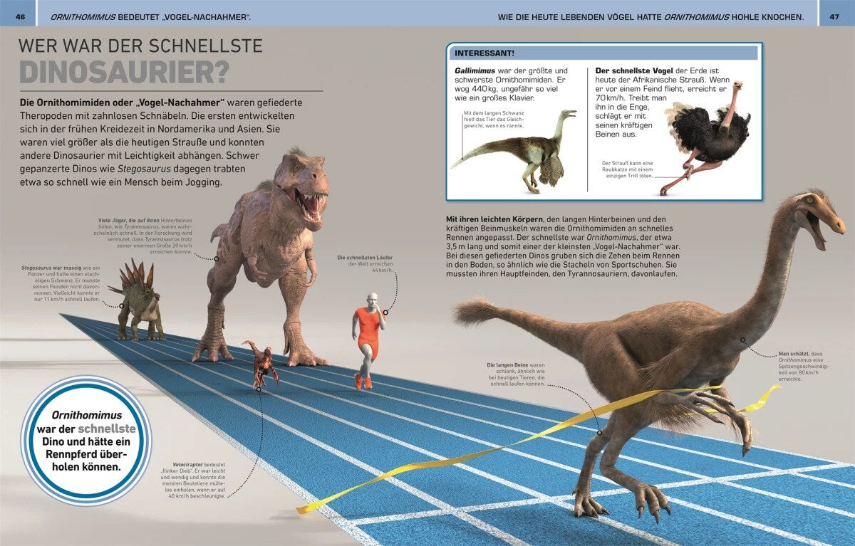 Total verrückt! Dinosaurier