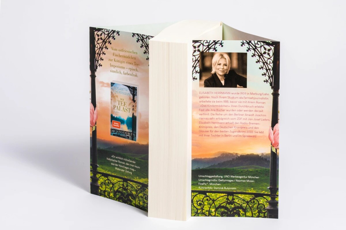 Der Teegarten / Der Teepalast Bd.2