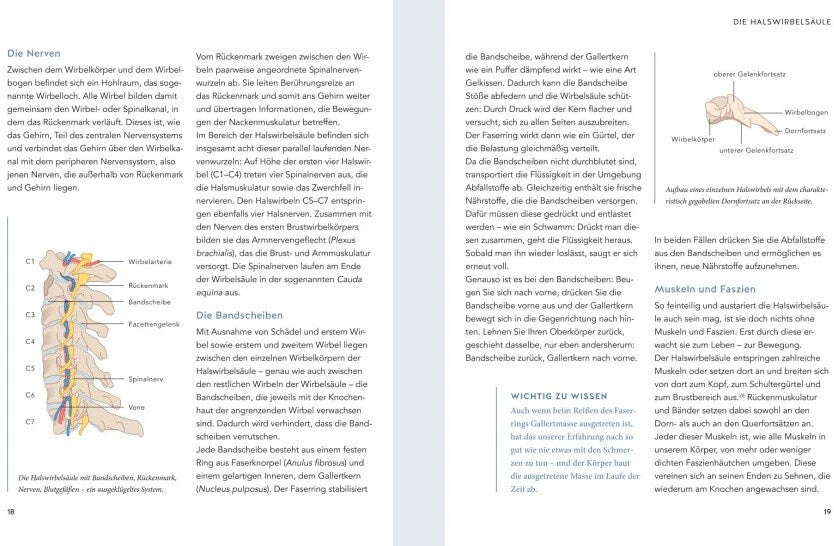 Nacken Schmerzen selbst behandeln