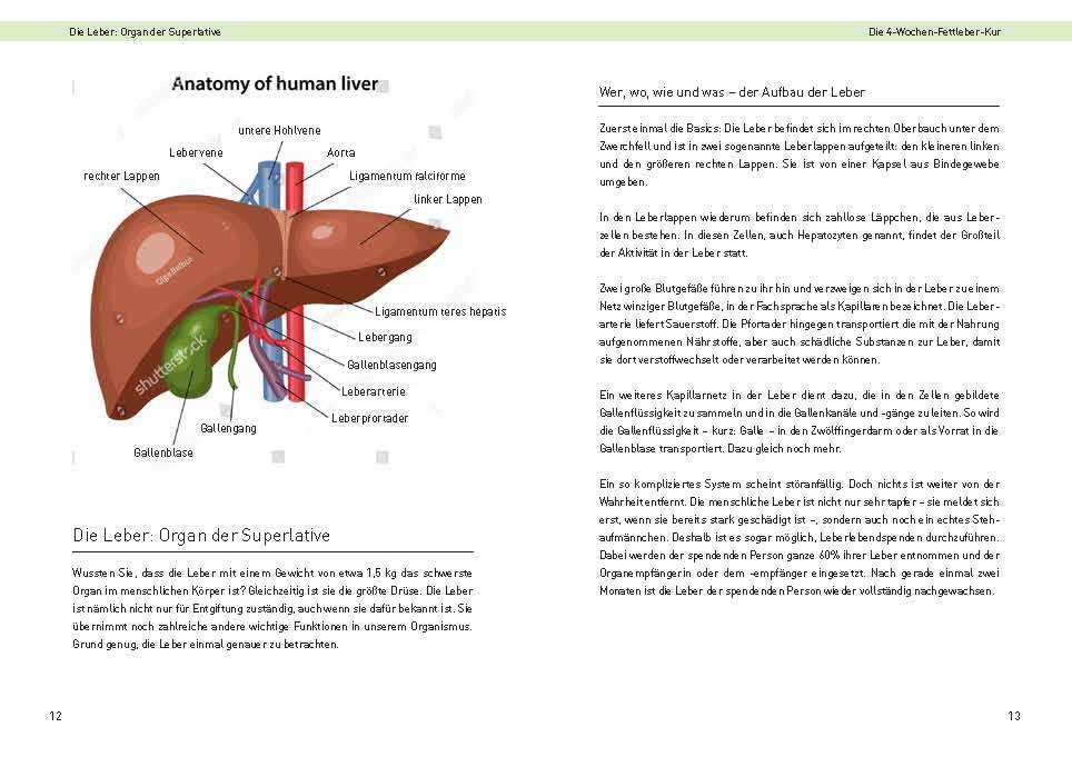 Die 4 Wochen Fettleber Kur