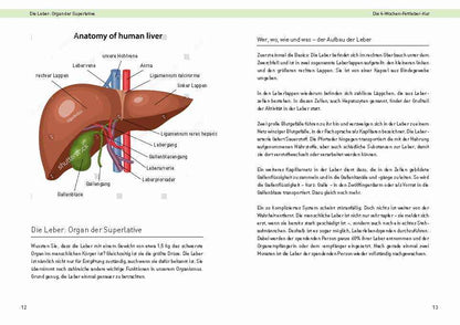 Die 4 Wochen Fettleber Kur