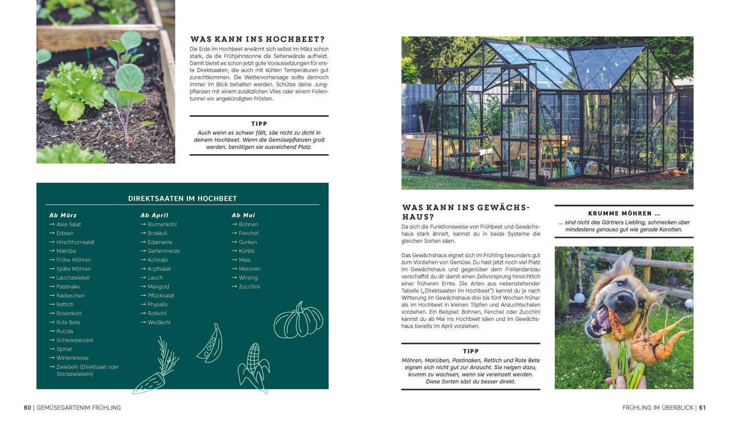 Gemüseanbau in Gewächshaus, Früh- und Hochbeet - Gärtner Pötschke Edition